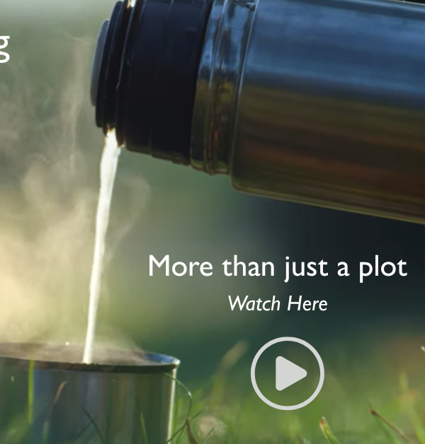 More than Just a plot